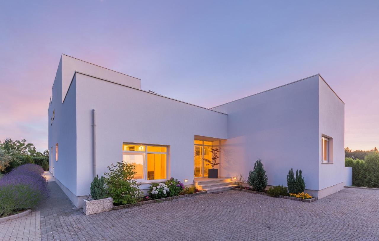 Villa Kate Istria Žminj Dış mekan fotoğraf