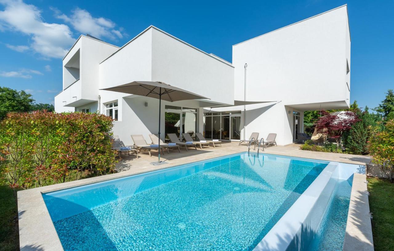 Villa Kate Istria Žminj Dış mekan fotoğraf
