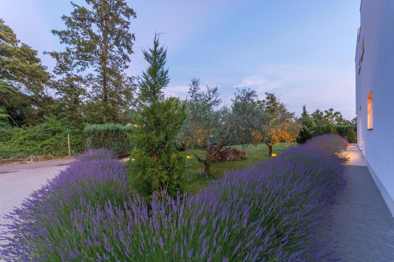 Villa Kate Istria Žminj Dış mekan fotoğraf